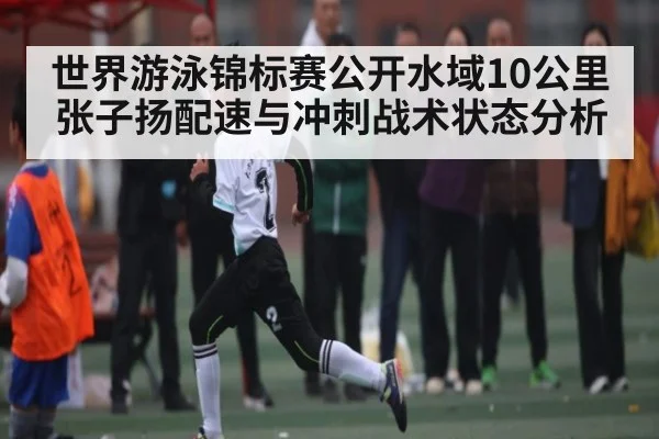 世界游泳锦标赛公开水域10公里张子扬配速与冲刺战术状态分析